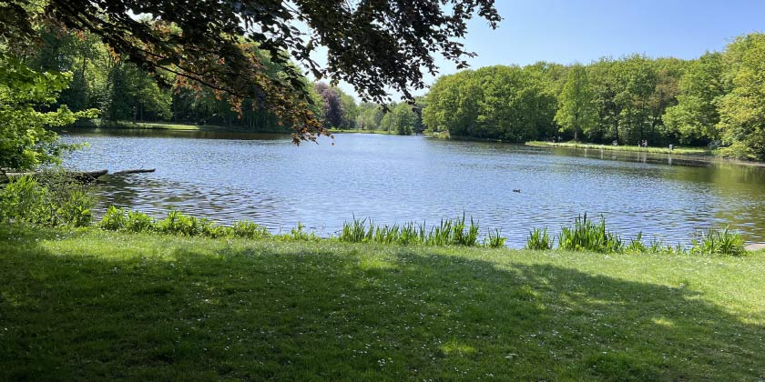 Bezuidenhout Haagse Bos